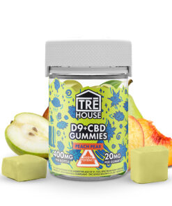 Delta 9 Gummies with CBD – 1:1