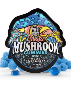Blue Raspberry Magic Mushroom Gummies
