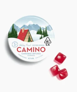 Camino Gummies 5mg Christmas Morning Holiday Punch